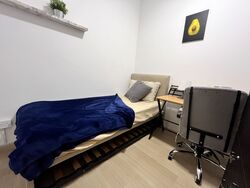 Langston Ville (D9), Apartment #511928651